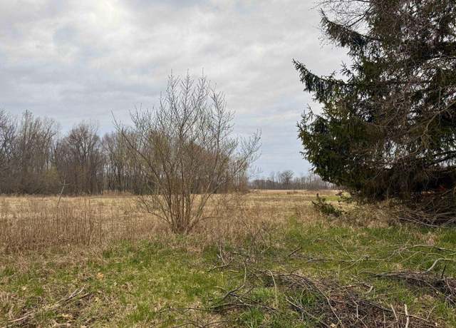 Property at V/L C-1 Cork Rd, Morrice, MI 48857