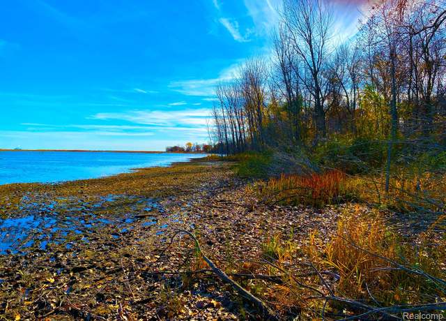 Property at 0000 E Coggins Rd, Pinconning, MI 48650