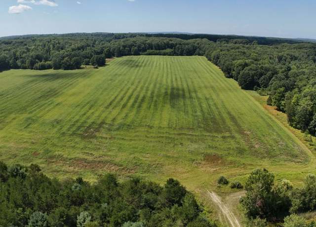 Property at 00B Leckrone Rd, Brethren, MI 49619