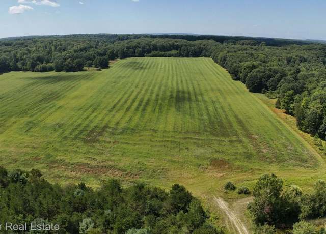 Property at 00B Leckrone Rd, Brown Township, MI 49619
