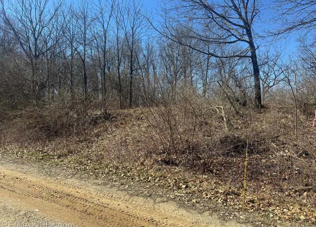 Property at 000 Daymon Rd, Unadilla Township, MI 48137