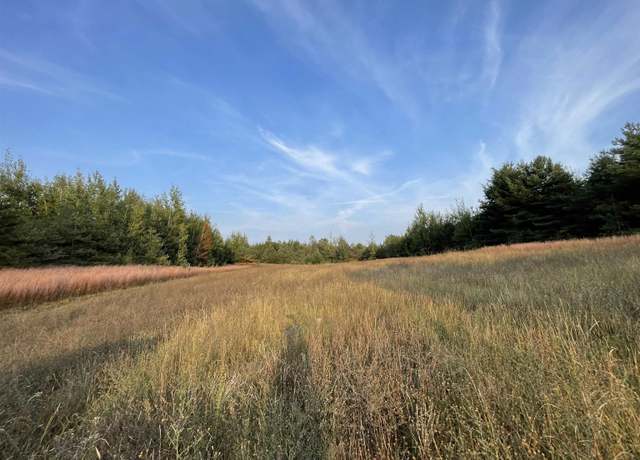 Property at V/L Parcel F E 18 1/2 Rd, Cedar Creek Twp, MI 49663