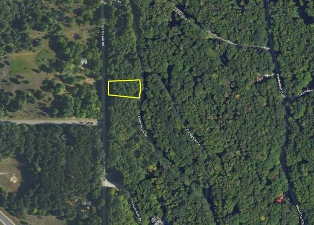 Property at Lot 38 Courchevel Ln, Bellaire, MI 49615