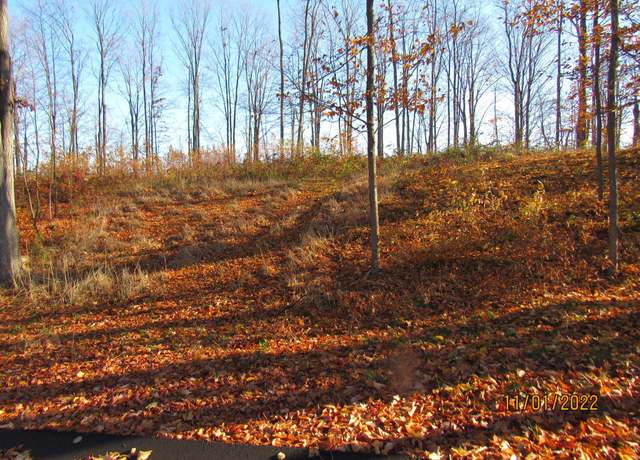Property at 4169 Maple Hill Rd, Grawn, MI 49637