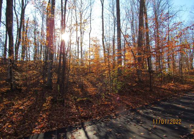 Property at 4167 Maple Hill Rd, Grawn, MI 49637