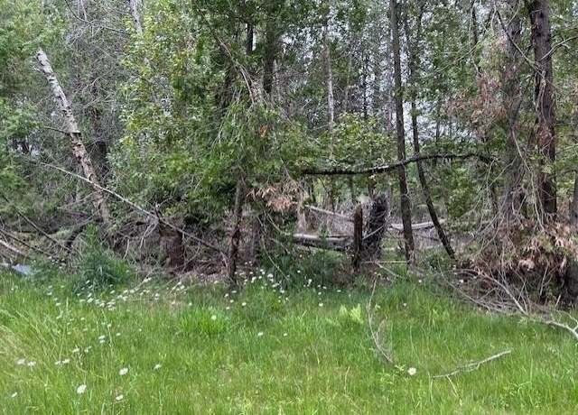 Property at 00 Pine Tree Trl, Oscoda, MI 48750