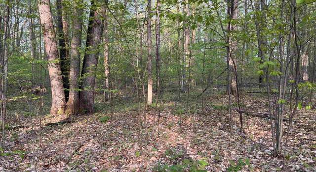 Photo of 000 Par-king Dr, Custer Township, MI 49615