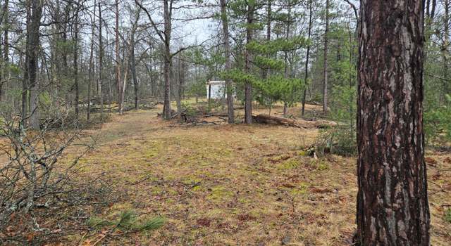 Photo of 3774 S Stephan Bridge Rd, Grayling, MI 49738