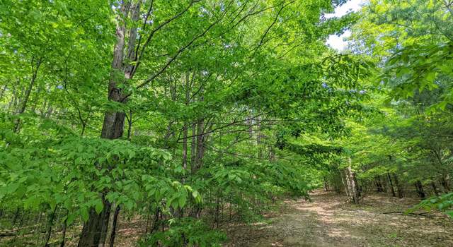 Photo of 00 Stark Rd, Chestonia Township, MI 49659