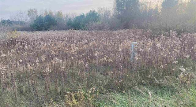 Photo of TBD E Wing Rd, Shepherd, MI 48883
