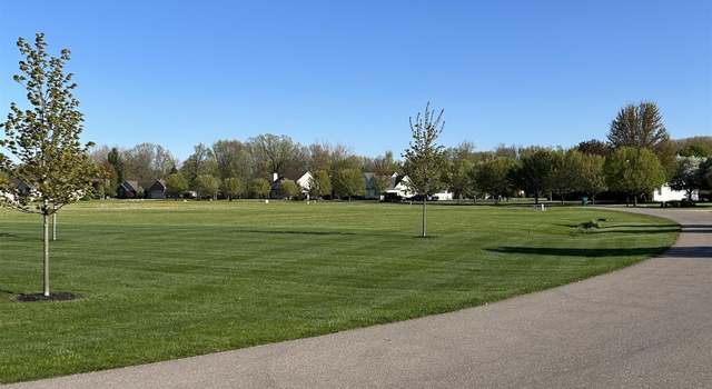 Photo of Old Timber Trl, New Lothrop, MI 48460