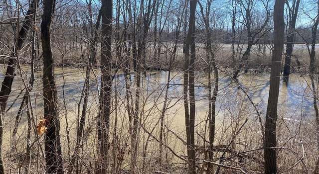 Photo of Vacant Stowell Rd, Dundee, MI 48131