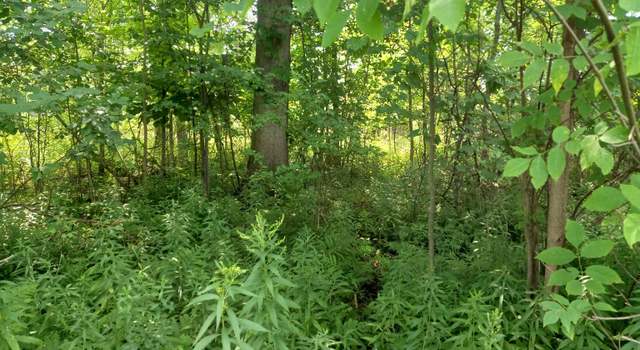 Photo of NA E Huron Rd, Au Gres, MI 48703