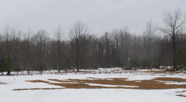 Photo of 15906 Lindy Rd, Thompsonville, MI 49683