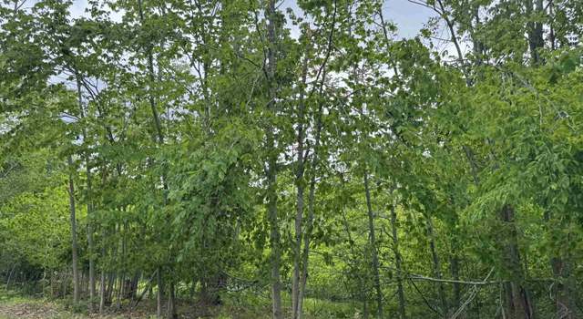 Photo of 00 Snow Goose Cir, Gaylord, MI 49735