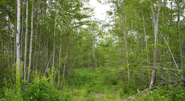 Photo of Parcel K Road Tbd, Mikado, MI 48738