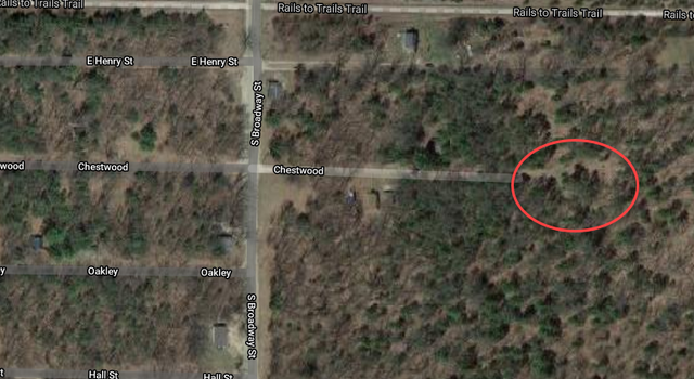 Photo of 1512700100 Chestwood Ave, Idlewild, MI 49642