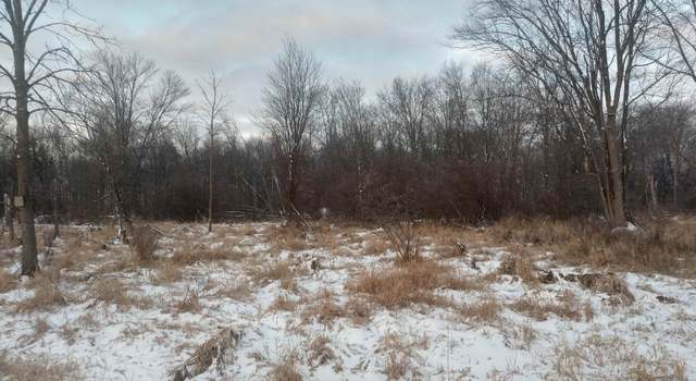 Photo of N/A Lentner Rd, Omer, MI 48749