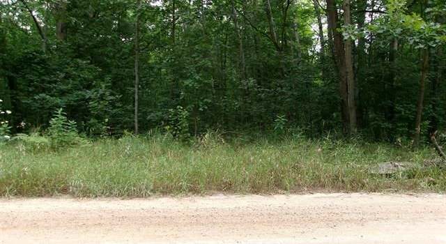 Photo of 0 Browns Rd, Lake, MI 48632