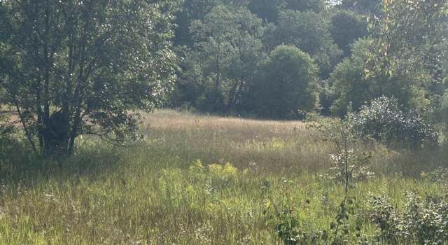 Photo of V/L Helena Rd, Alden, MI 49612