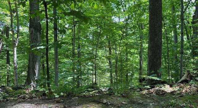 Photo of 716 NW Torch Lake Dr, Kewadin, MI 49648