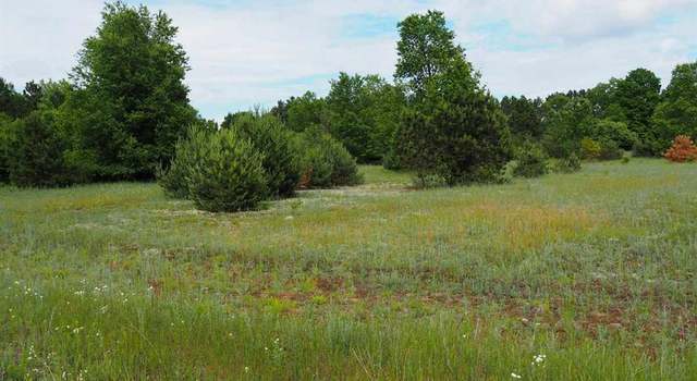 Photo of C Co Road 669, Thompsonville, MI 49683