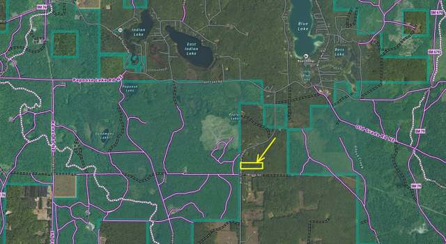 Photo of 5124 Blue Lake Road, NE, Kalkaska, MI 49646