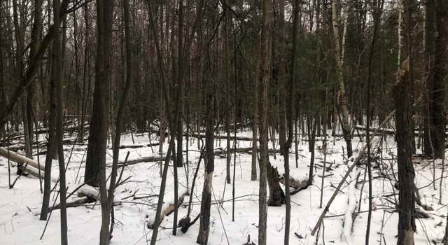 Photo of 4300 Brott Rd, Clyde, MI 48049