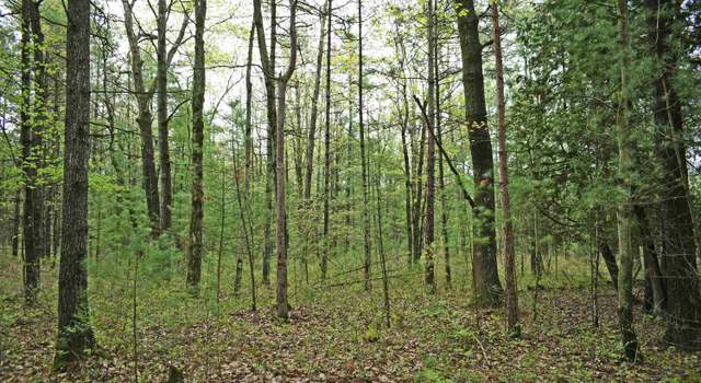 Photo of 0 Schill Rd, East Tawas, MI 48730