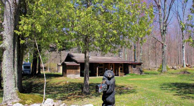 Photo of 8626 Coat Rd, Benzonia, MI 49616