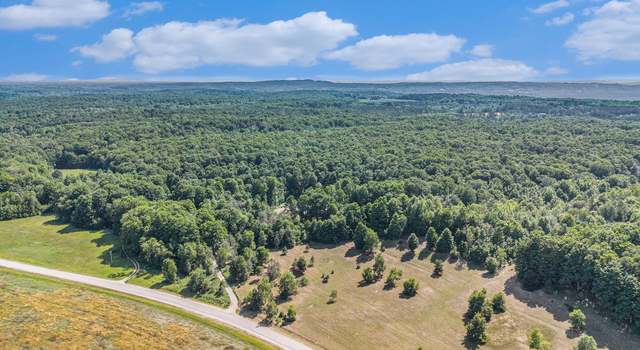 Photo of 00 Valley Rd, Honor, MI 49640