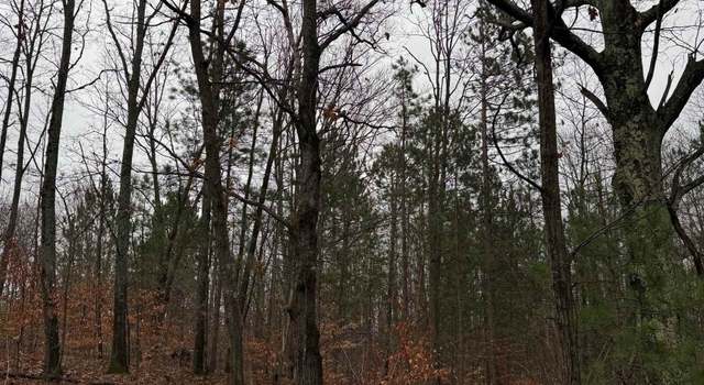 Photo of V/L E 22 3/4 Rd, Manton, MI 49663