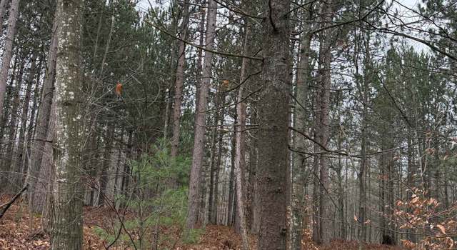 Photo of V/L E 22 3/4 Rd, Manton, MI 49663