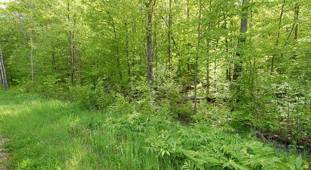 Photo of 3882 S 5 1/2 Rd, Harrietta, MI 49638
