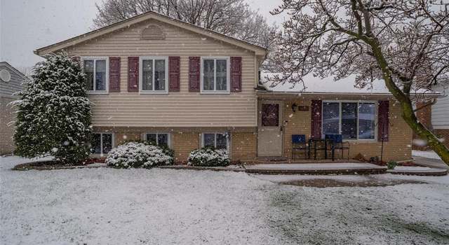 Photo of 14137 Randall Dr, Sterling Heights, MI 48313