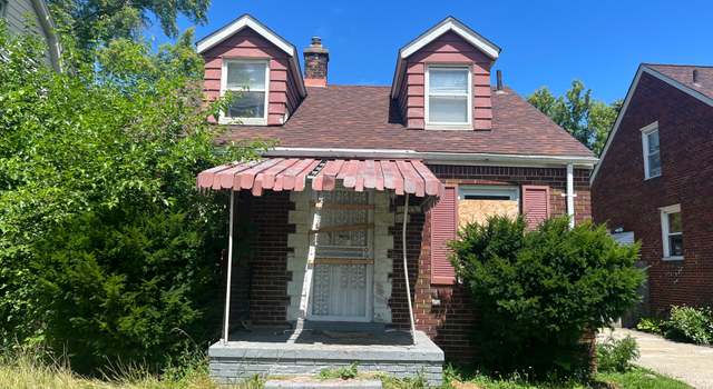Photo of 11285 Christy St, Detroit, MI 48205