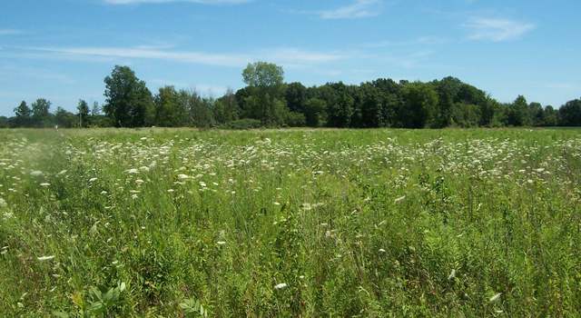 Photo of Lot E Calvin Rd Rd, Riley Township, MI 48041