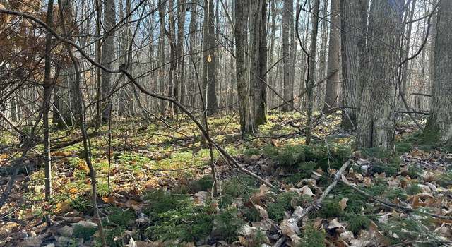 Photo of Parcel 4 Hideaway Trl, Beaver Island, MI 49782