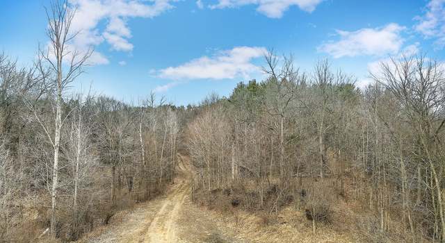 Photo of 0 Lovejoy Rd, Deerfield Township, MI 48418