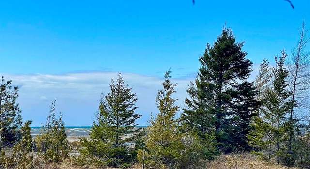 Photo of 4411 Straits View Drive Dr, Carp Lake, MI 49718