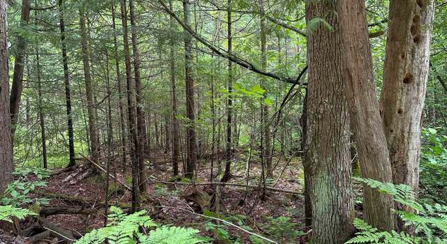 Photo of LOT 42 Birchcrest, Kalkaska, MI 19646