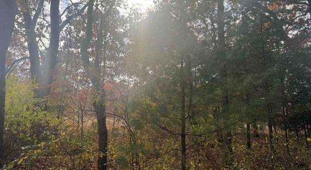 Photo of 00 E 8th St, White Cloud, MI 49349
