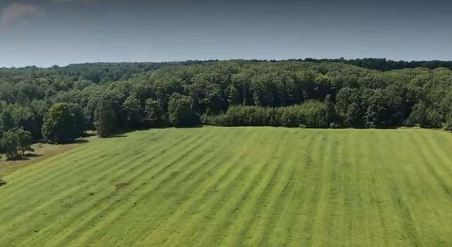 Photo of Leckrone Rd Parcel A, Brethren, MI 49619