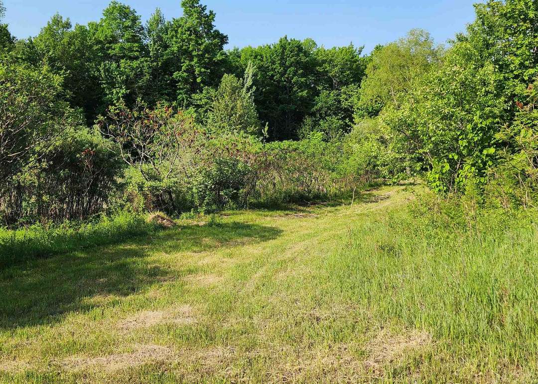 8838 N Deyoung Rd, Lake City, MI 49651