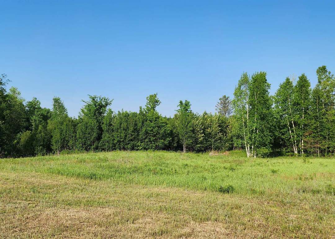 8838 N Deyoung Rd, Lake City, MI 49651