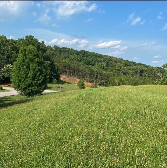 103 Timberlake Dr, Greenback, TN 37742 | MLS# 2534714 | Redfin