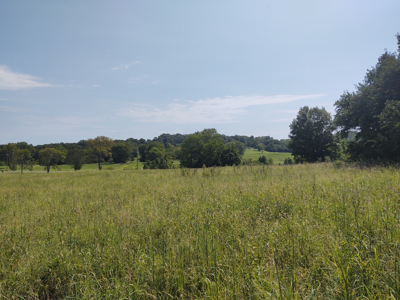 0 Cairo Bend Rd, Lebanon, TN 37087 MLS 2180823 Redfin