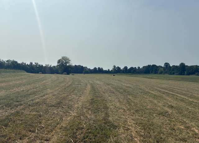 Property at 5553 Thick Rd, Chapel Hill, TN 37034