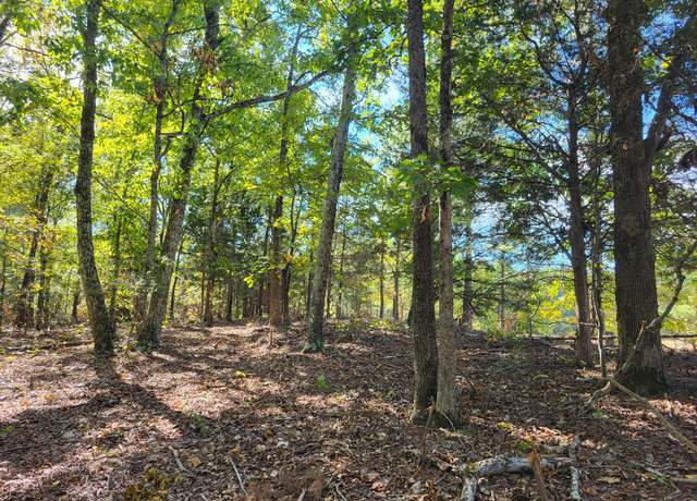 Property at 4 Birdsong Rd, Holladay, TN 38341