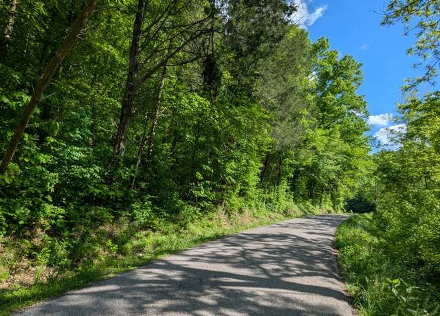 Property at 0 Wolf Hill Rd, Bethpage, TN 37022